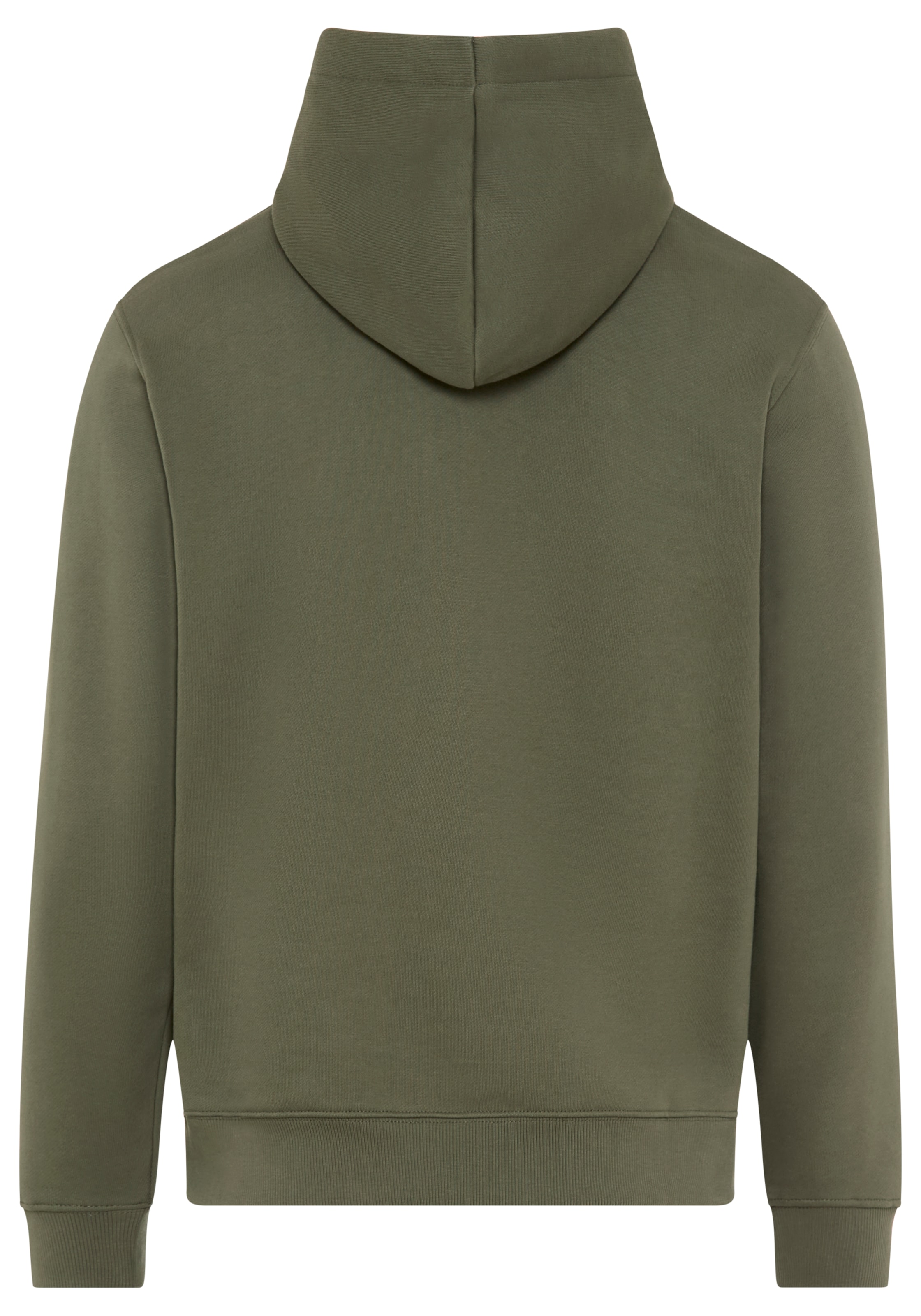 REPLAY Свитшот в Зеленый