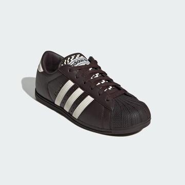 Baskets basses 'Superstar Lo Pro' ADIDAS ORIGINALS en marron