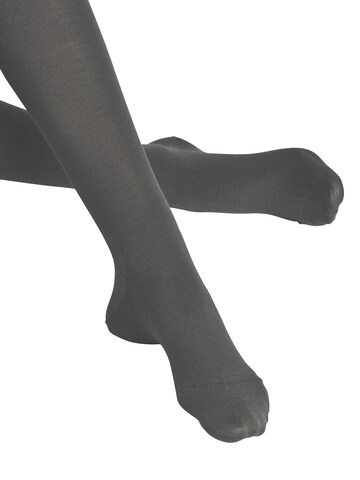 FALKE Strumpfhose 'Softmerino'‌‌‌‌‌‌‌‌ in Grau