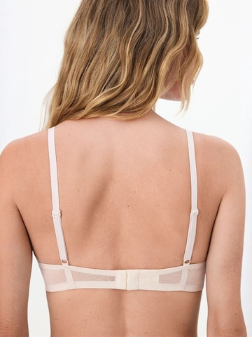 Penti Push-up Nedrček 'BHs & Bralettes' | rjava barva