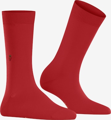 BURLINGTON Socken 'Brit Style' in Lila: Vorderseite