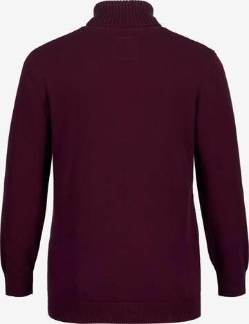 JP1880 Sweater in Purple