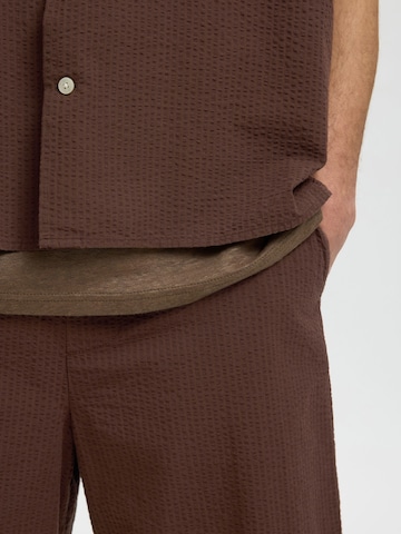 SELECTED Regular Pants in Brown