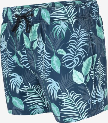 Cruz Badeshorts 'Obi Van' in Blau