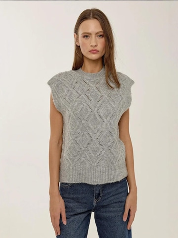 Hiccup Vest in Grey: front