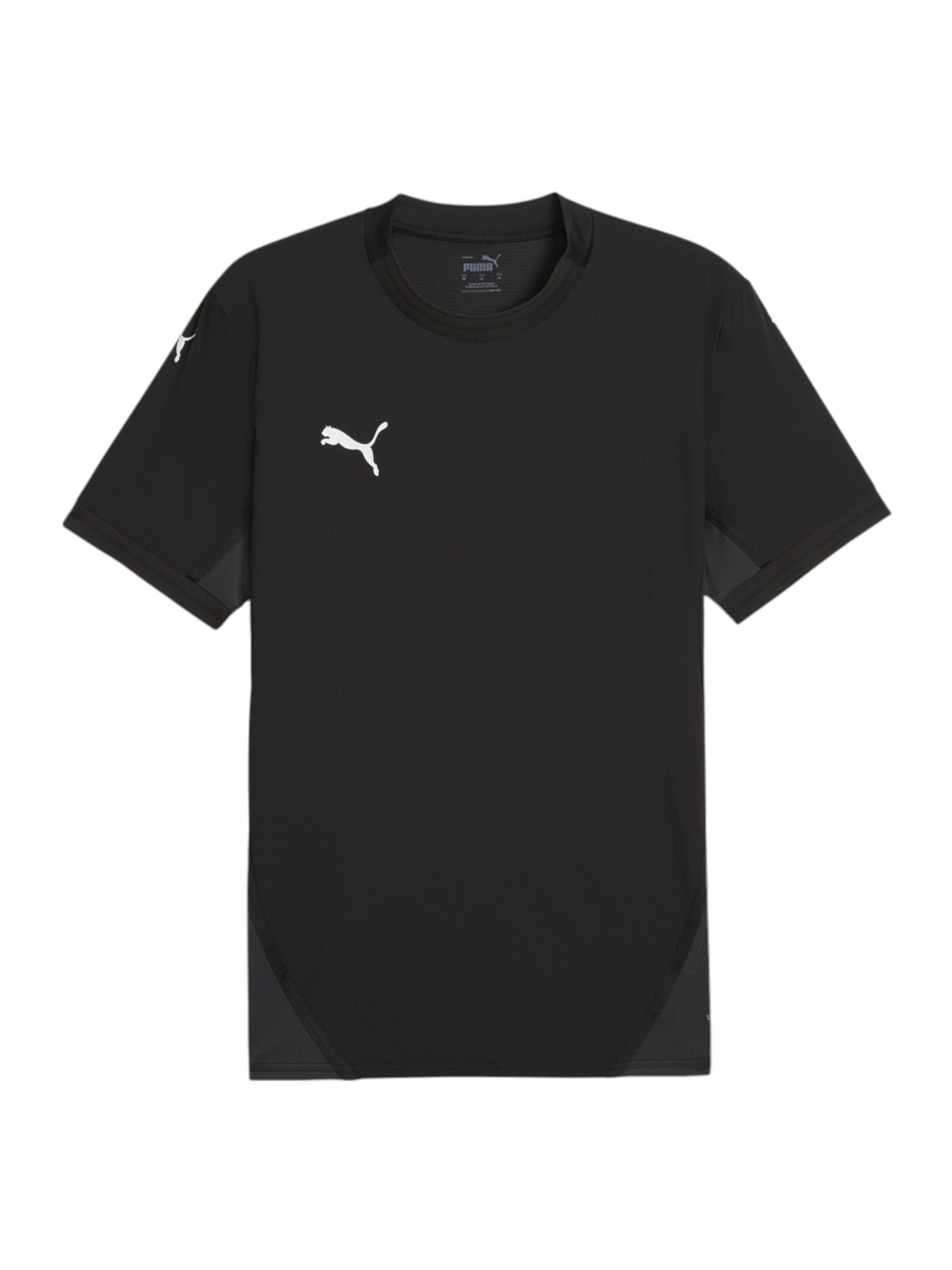 PUMA Funktionsshirt 'TeamFinal' in Schwarz: Vorderseite