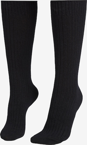 CALZEDONIA Socks in Blue: front