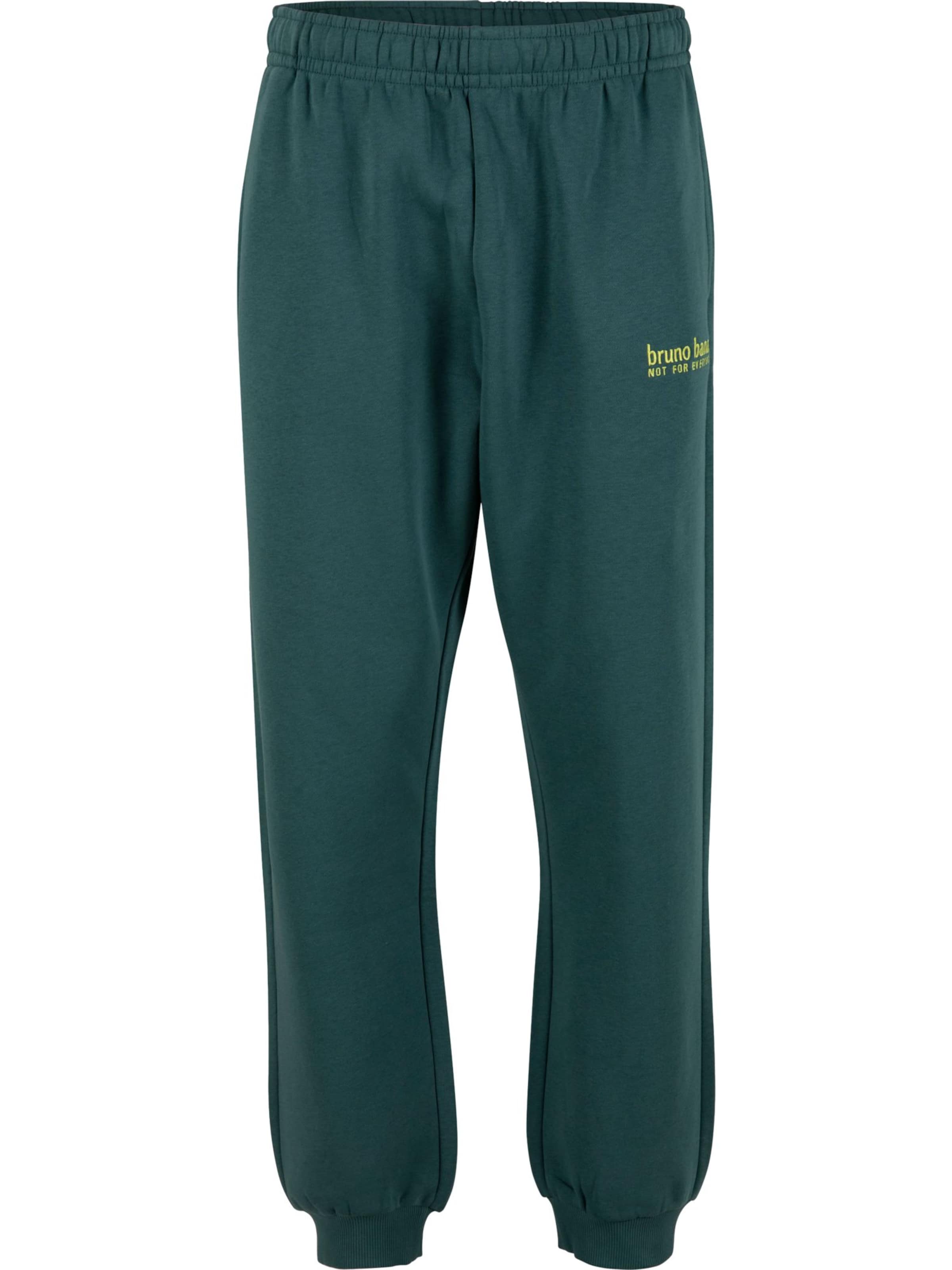Pantalon ' Haynes ' Bruno Banani en vert : devant
