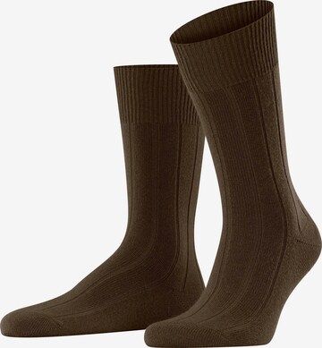 FALKE Socken 'Lhasa Rib' in Braun: Vorderseite