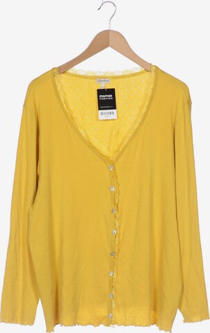 Deerberg Sweater & Cardigan in XXL in Yellow: front