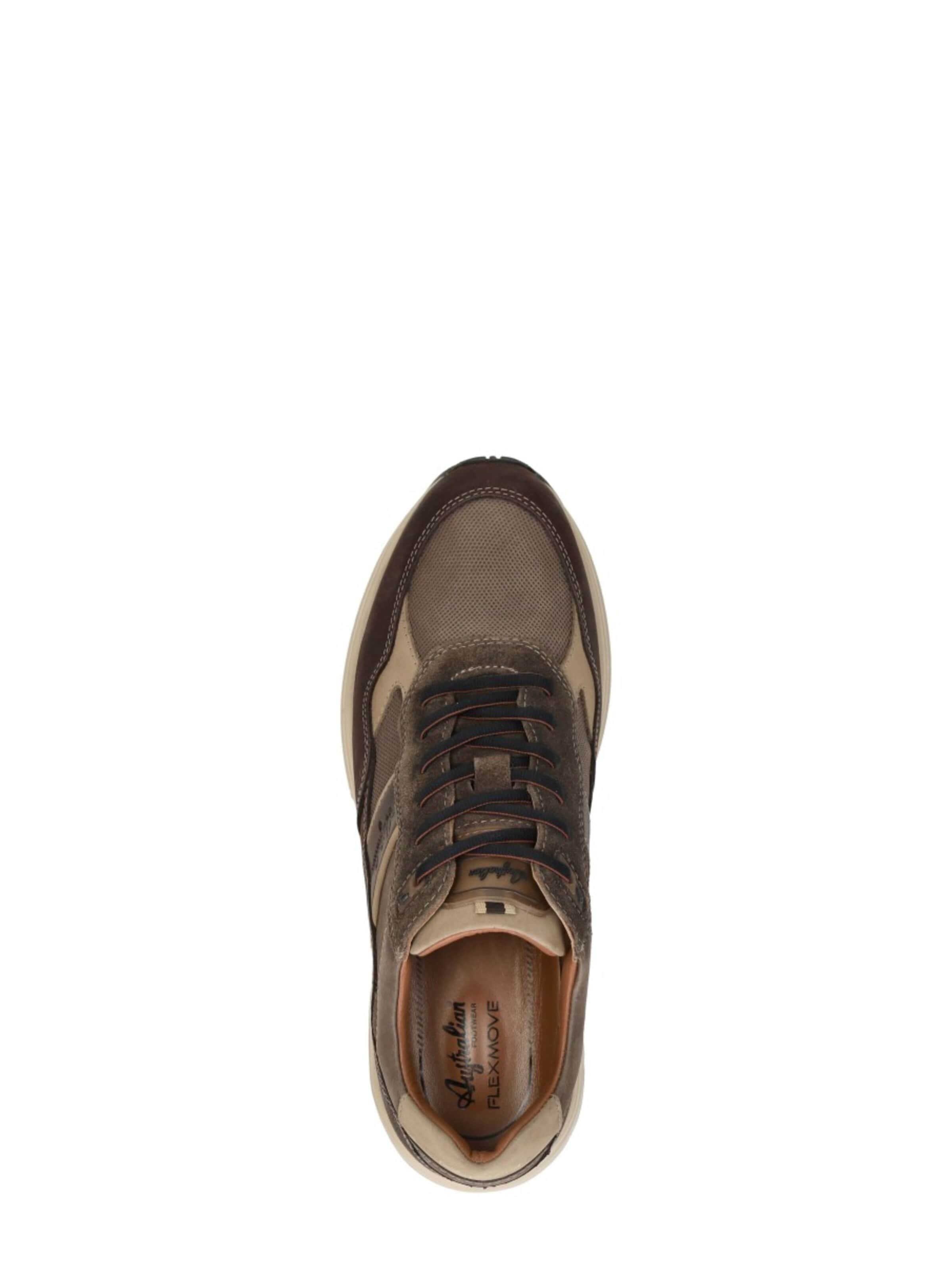 Australian Platform trainers 'Grants' in Brown