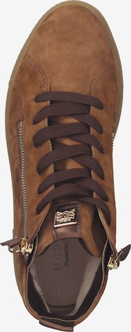 HASSIA High-Top Sneakers in Brown