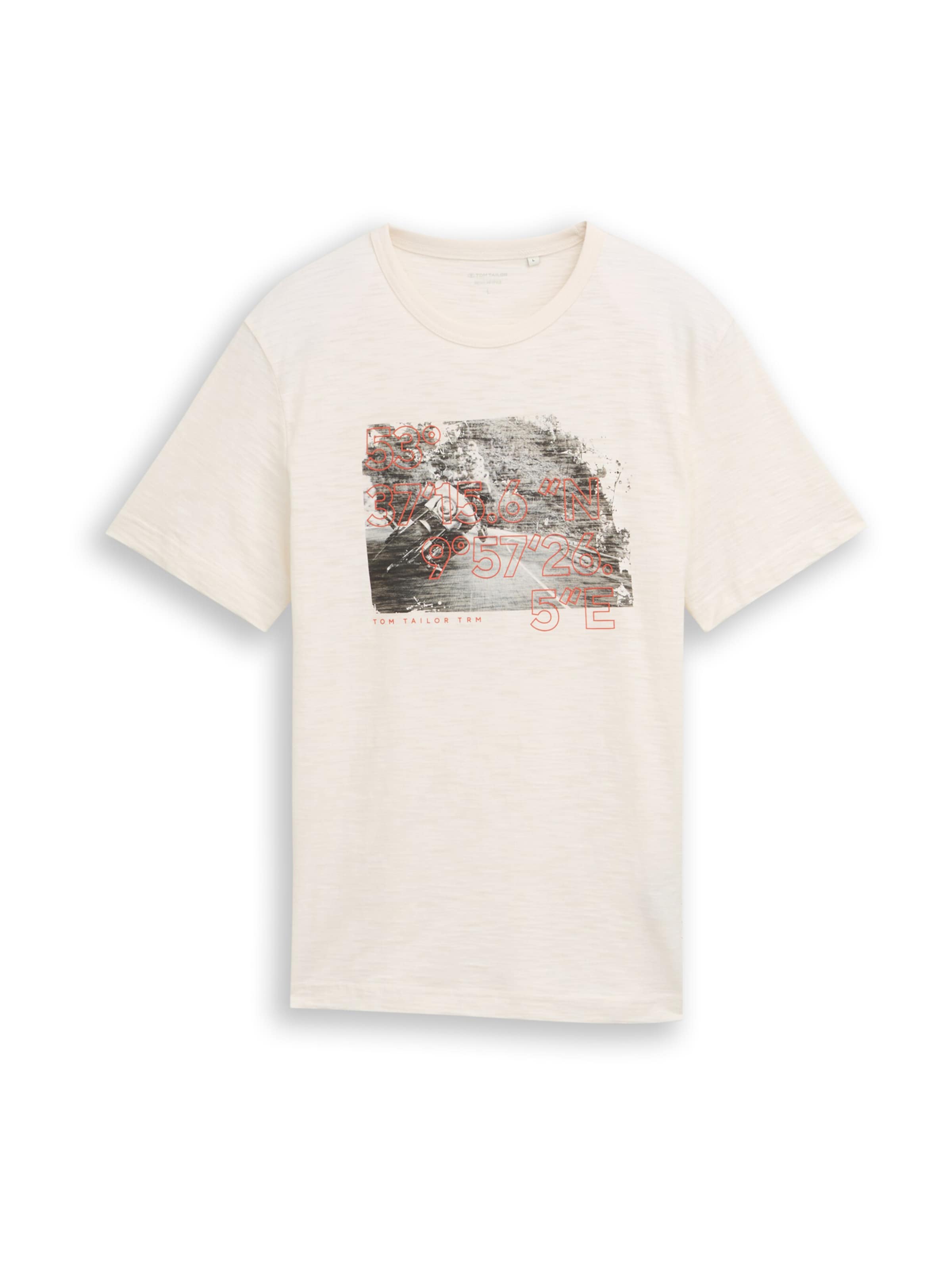 TOM TAILOR Shirt in White: front