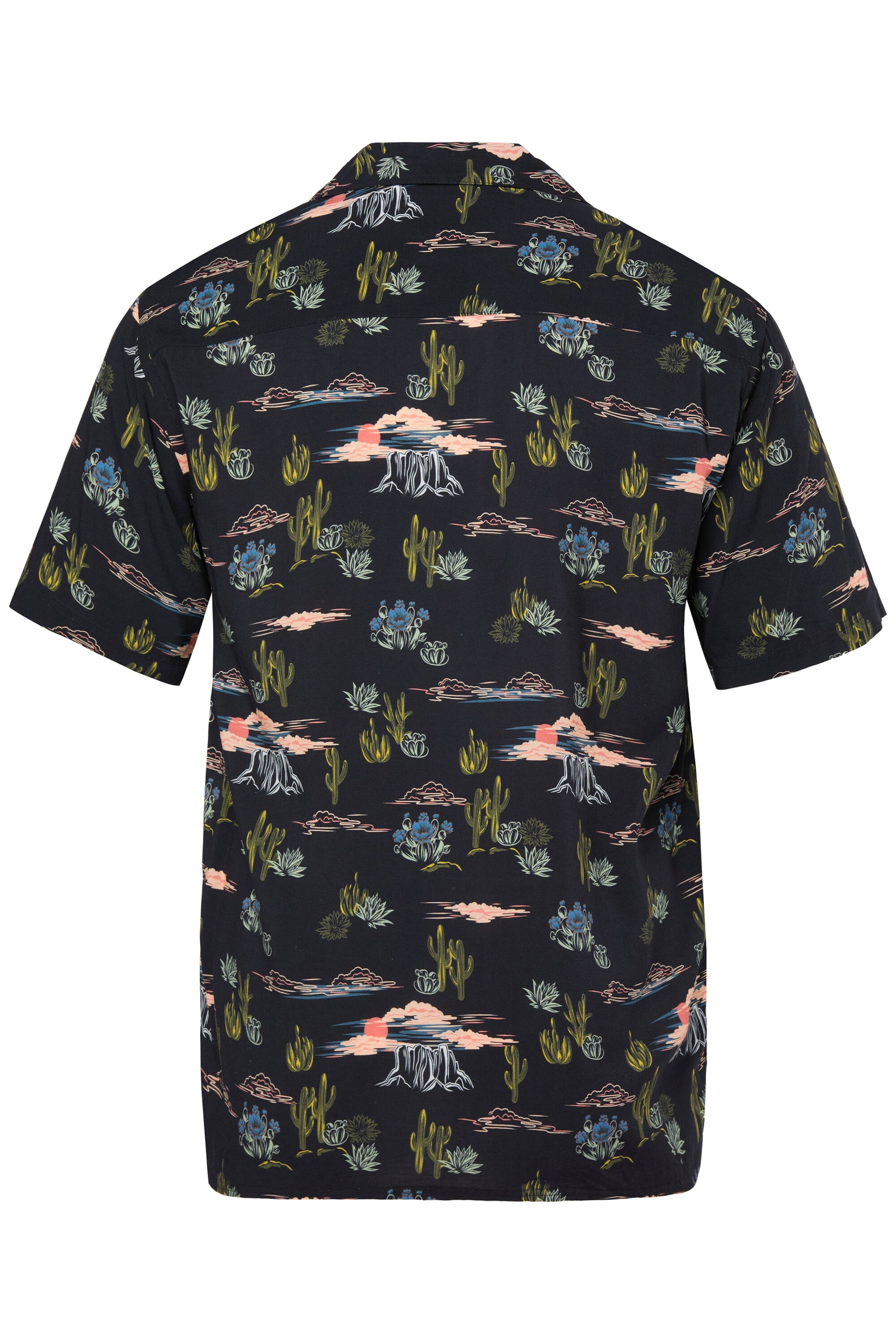 Men Plus Regular Fit Hemd in Schwarz