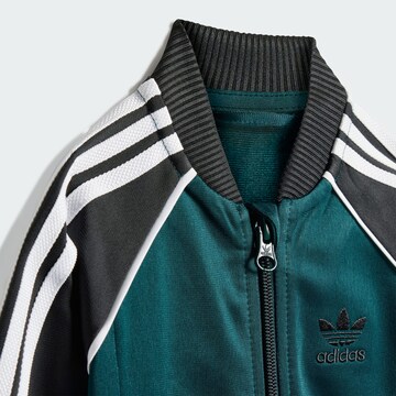 ADIDAS ORIGINALS Joggingpak 'Adicolor' in Groen