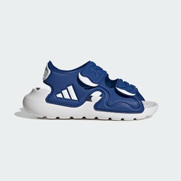 ADIDAS SPORTSWEAR Open schoenen 'Altaswim 3' in Blauw