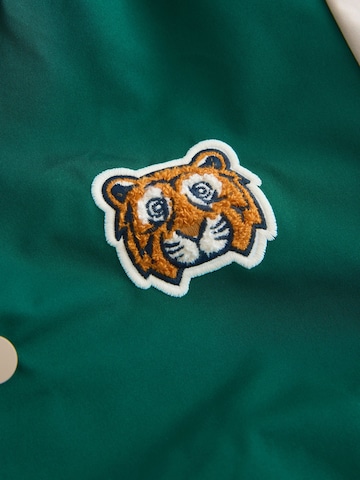 Next Tussenjas in Groen