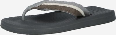 HAVAIANAS Žabky 'NEW URBAN WAY' - mokka / grafitová / bílá, Produkt