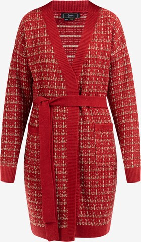 faina Knit cardigan 'Koosh' in Red: front