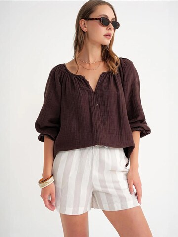 MixRay Blouse in Brown: front