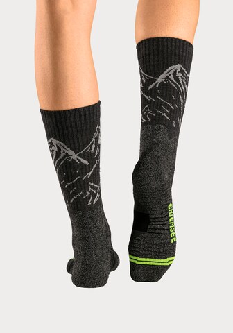 CHIEMSEE Sportsocken in Schwarz