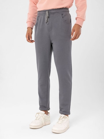 Regular Pantalon Antioch en gris : devant