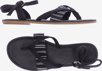 TOMS Sandalen 38 in Schwarz: predná strana