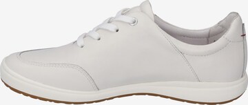 JOSEF SEIBEL Sneakers 'Caren' in White