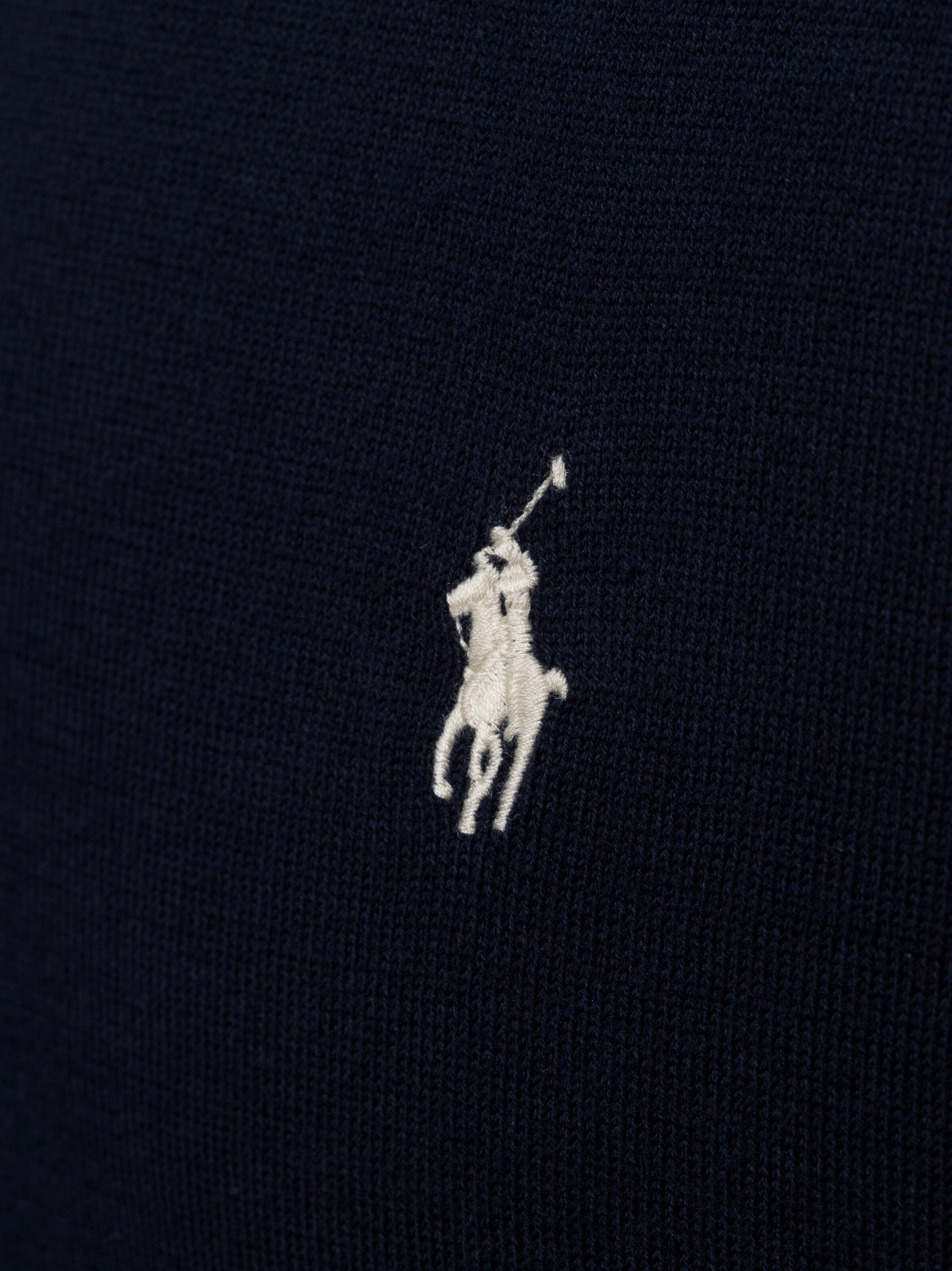 Polo Ralph Lauren Sweater in Blue