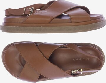 Alohas Sandals & High-Heeled Sandals in 39 in Brown: front