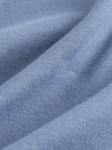 Next Shirts i blå