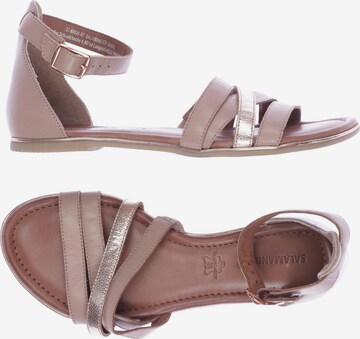 SALAMANDER Sandals & High-Heeled Sandals in 38 in Pink: front