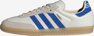 Baskets basses 'Samba' ADIDAS ORIGINALS en blanc : devant