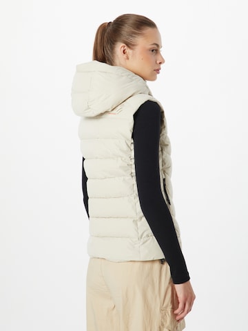 Superdry Vest in Beige