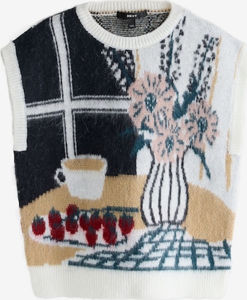 mišri Next Megztinis: priekis