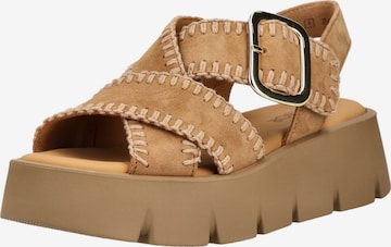 Sandales à lanières GABOR en marron : devant