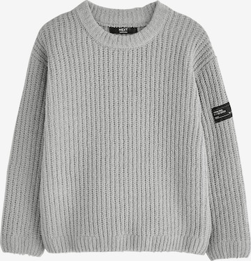 Next - Jersey en gris: frente