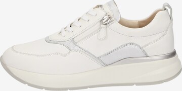 SIOUX Sneaker 'Segolia-705-J' in Weiß