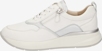 SIOUX Sneakers laag 'Segolia-705-J' in Wit