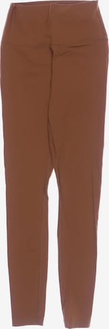 Everlane Pants in XS in Brown: front