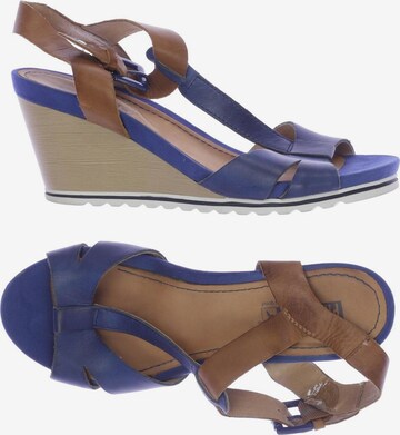 PIKOLINOS Sandals & High-Heeled Sandals in 38 in Blue: front