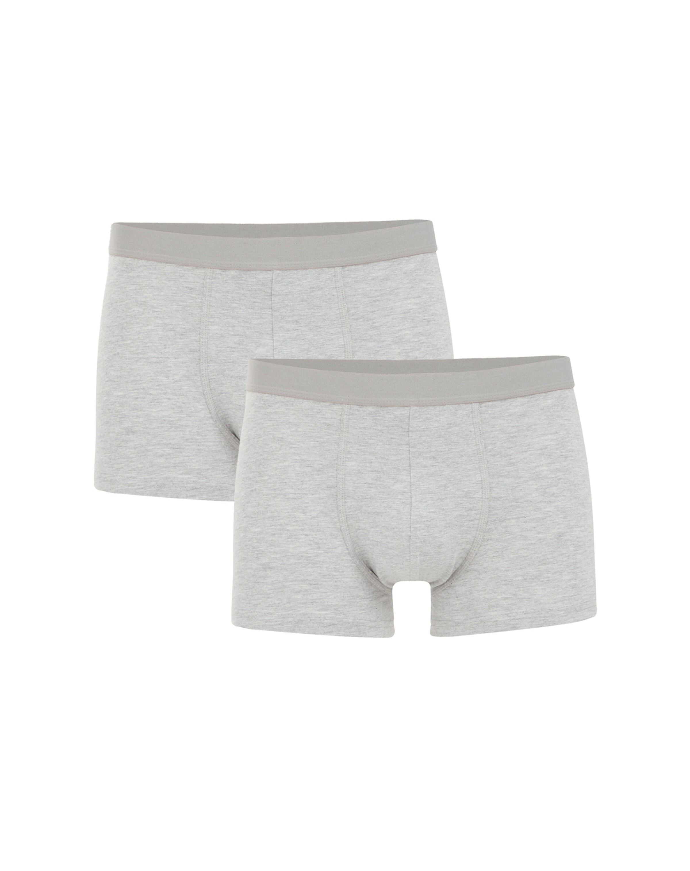 WE Fashion Boxer shorts in Grey: front