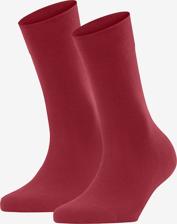 FALKE Socken in Rot: Vorderseite