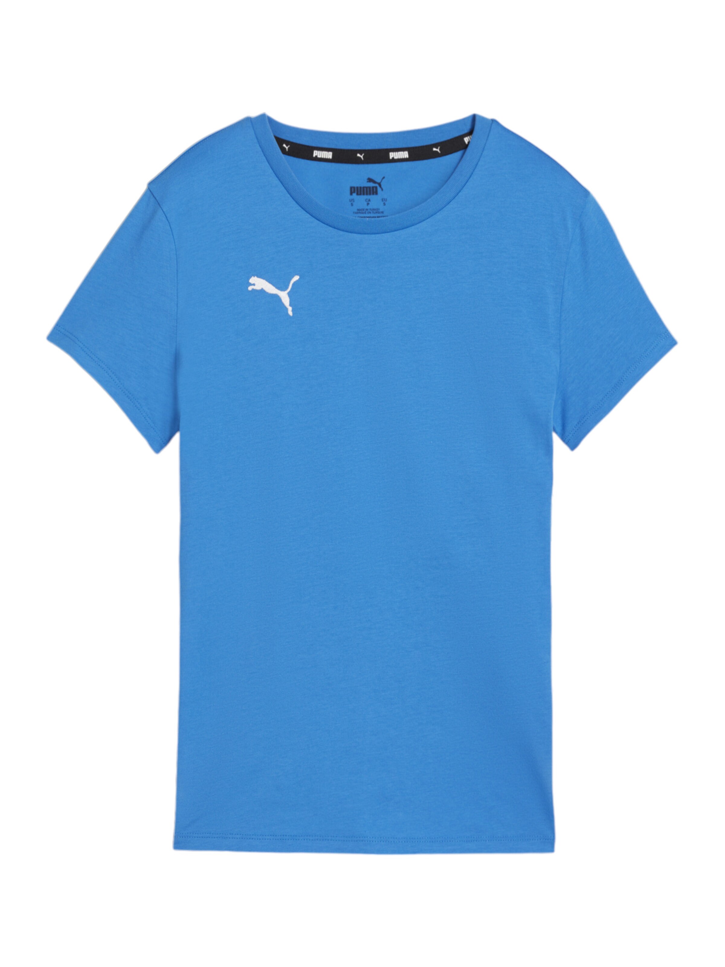 PUMA Funktionsshirt 'TeamGOAL' in Blau: Vorderseite