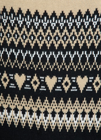 Ragwear Sweater in Brown