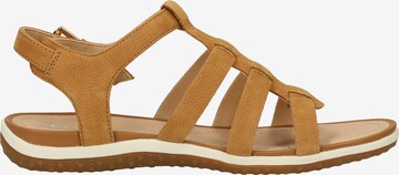 GEOX Sandals in Brown