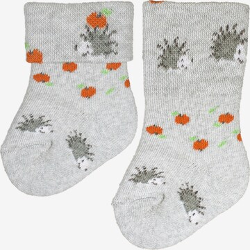 ROGO Socks 'Igel' in Grey