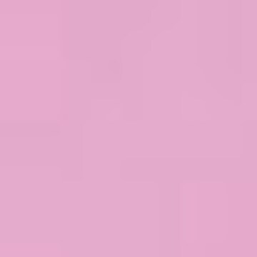 Heys Bag in Pink