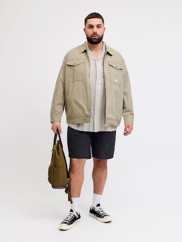 JACK & JONES regular Bukser i sort: forside