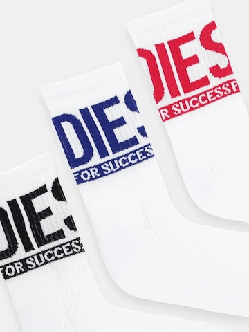 DIESEL Krojové ponožky 'SKM-RAY-3PACK-CUSHIONED' – bílá